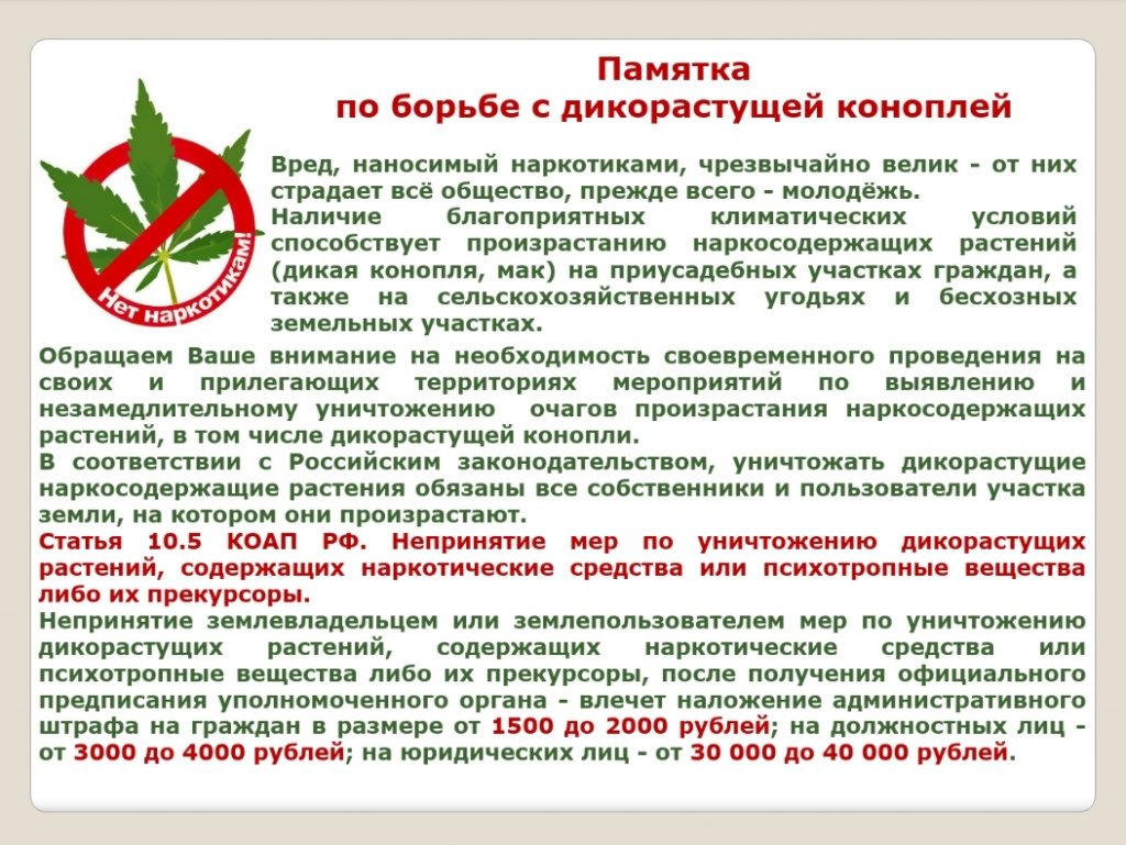 pamyatka_po_kanople.jpg